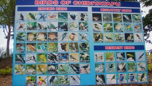 Chidiya Tapu Andaman