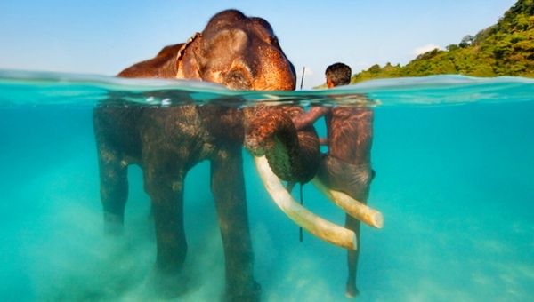 Elephant Beach on Havelock Island