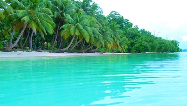 Vijaynagar Beach Havelock Island