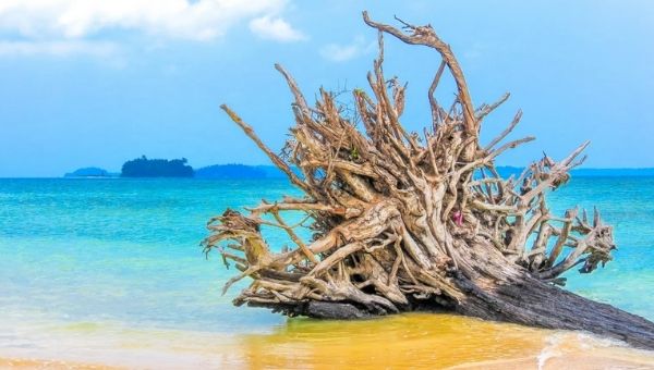 Wandoor Beach, Andaman