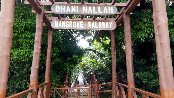 Dhani Nallah Mangrove Walkway, Rangat