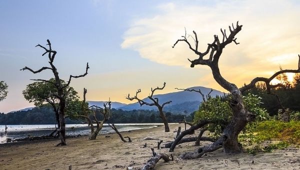 Kalipur Beach, Diglipur