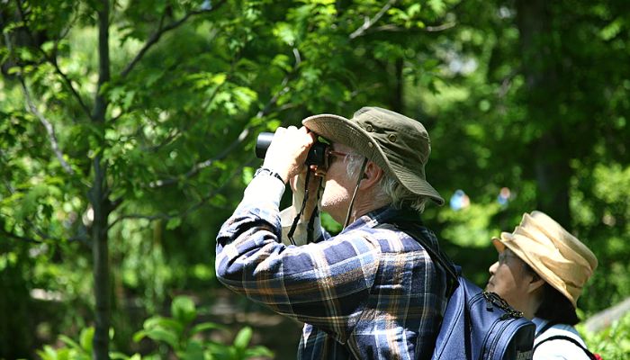 Bird watching at Assan Barrage