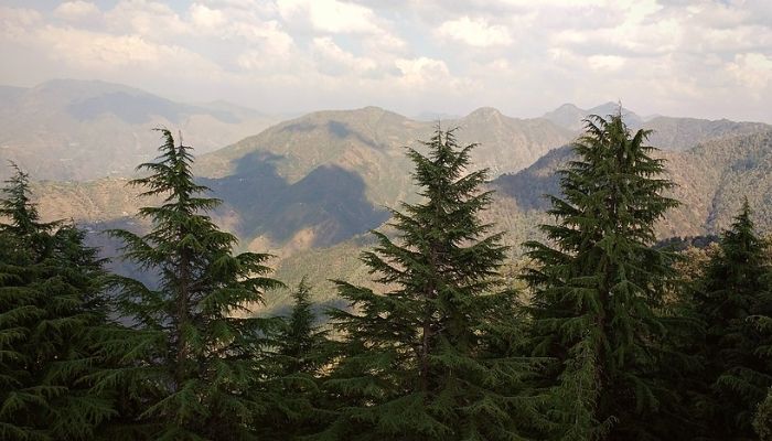 A walk at Lal Tibba