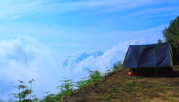 Camping in Munnar