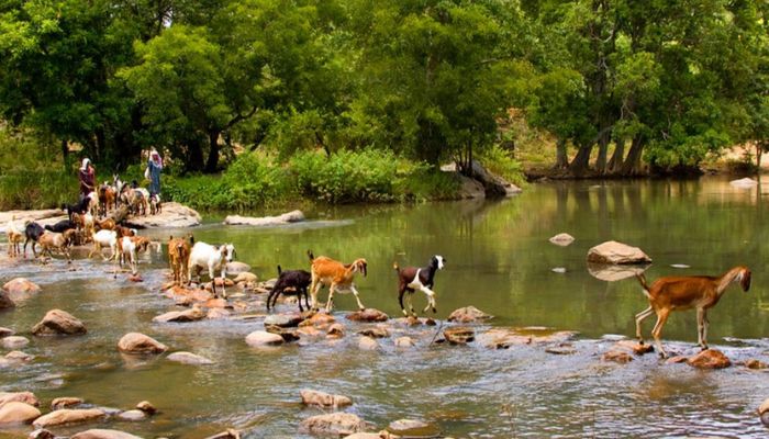 Chinnar Wildlife Sanctuary