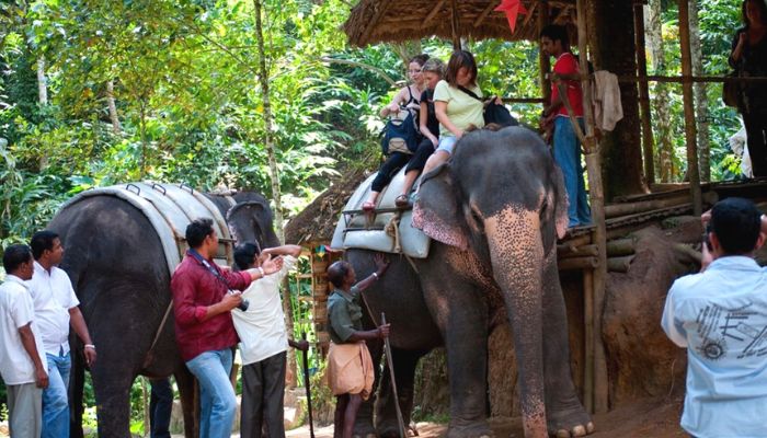 Elephant ride in Thekkady