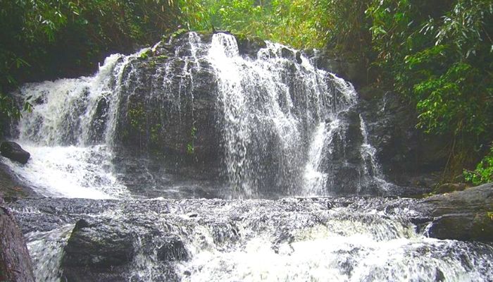 GAVI Trekking in Thekkady