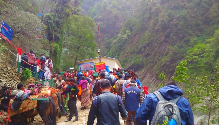 Kedarnath Trek