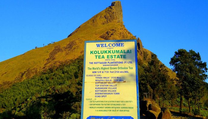 Kolukkumalai Tea Estate