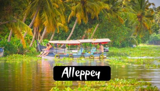 Place To Visit in Alleppey