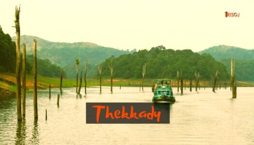 Places To Visit Thekkady