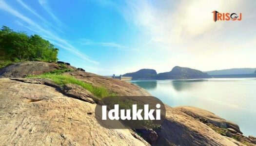 Places To Visit in Idukki