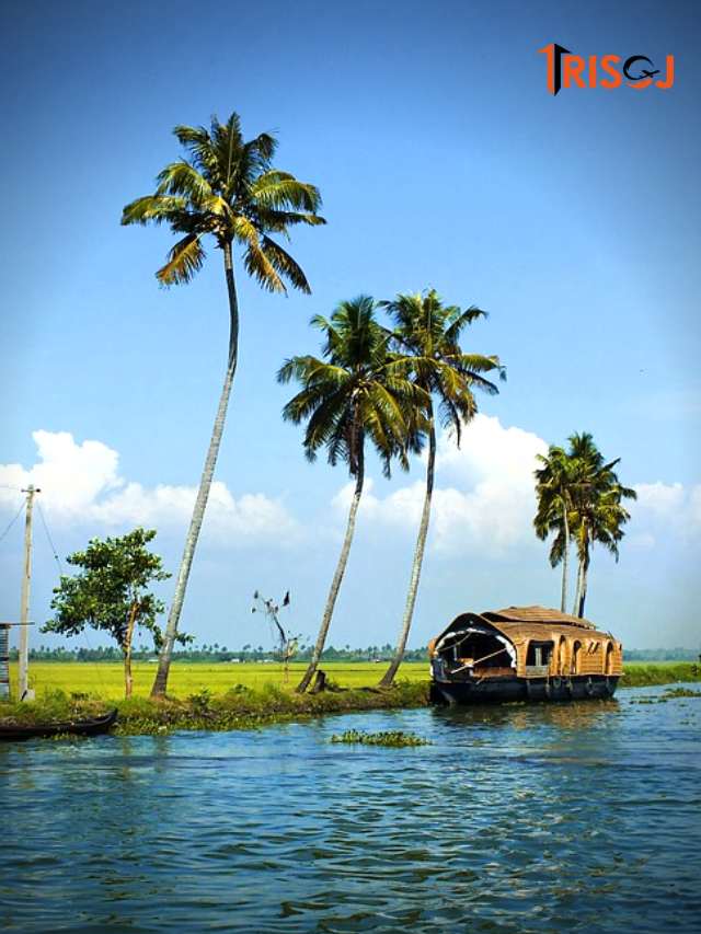 5-best-beaches-in-alleppey-for-pleasant-vacation-trisoj