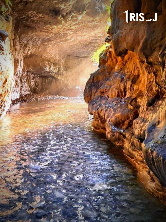 Places to visit in Dehradun