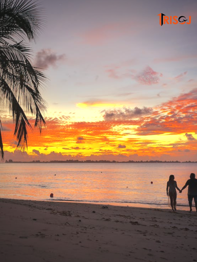 Things to Do in Thekkady