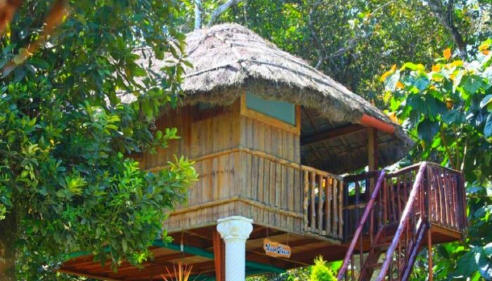 Tree Houses in Munnar