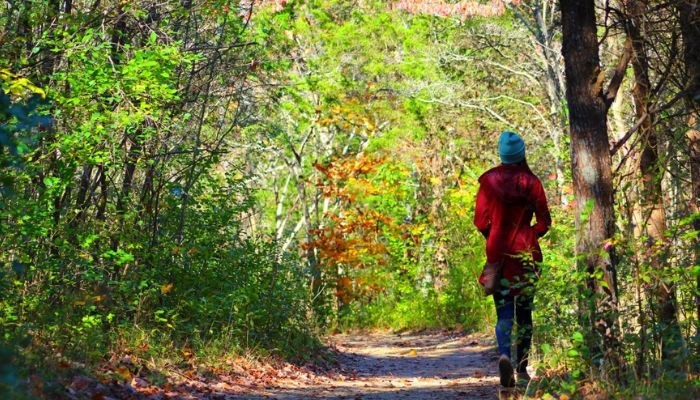 A nature walk in Lansdowne