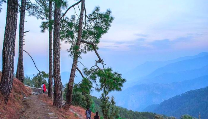 Binsar Wildlife Sanctuary