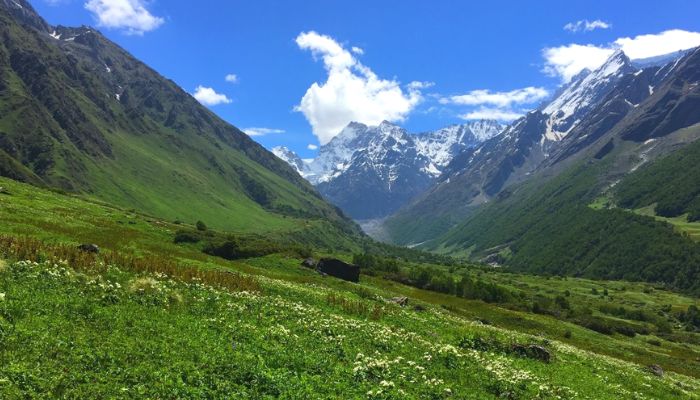 Nanda Devi National Park