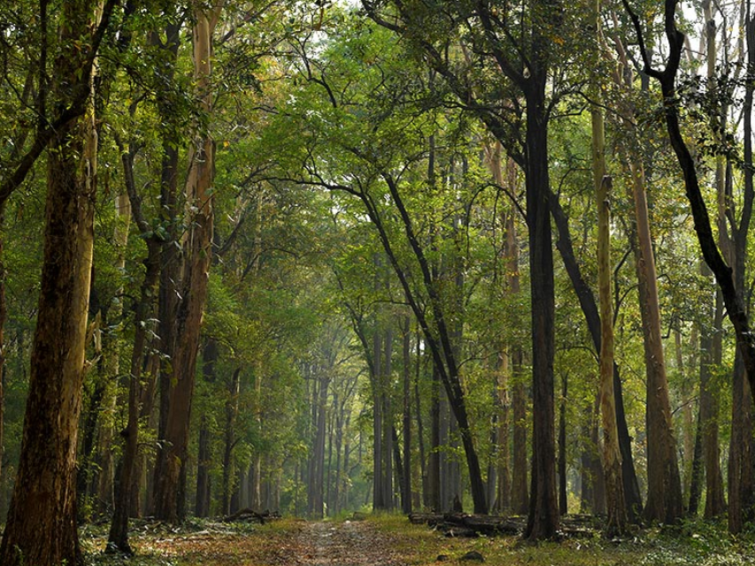 Kottakkunnu Garden