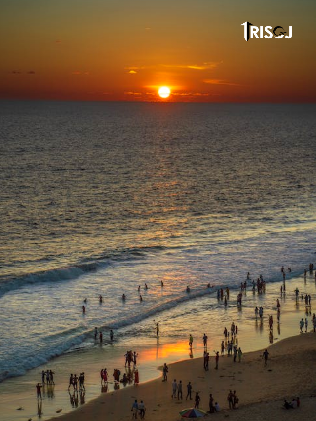 Thigns To Do in Thiruvananthapuram