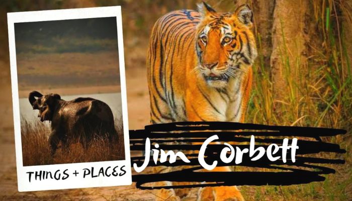 Things To Do & Tourist Places to Visit in Jim