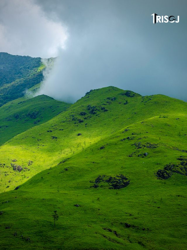 Things To Do in Wayanad