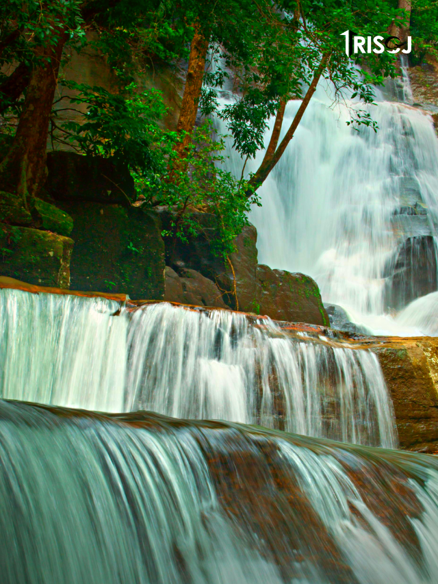 Top 5 Waterfalls in Munnar