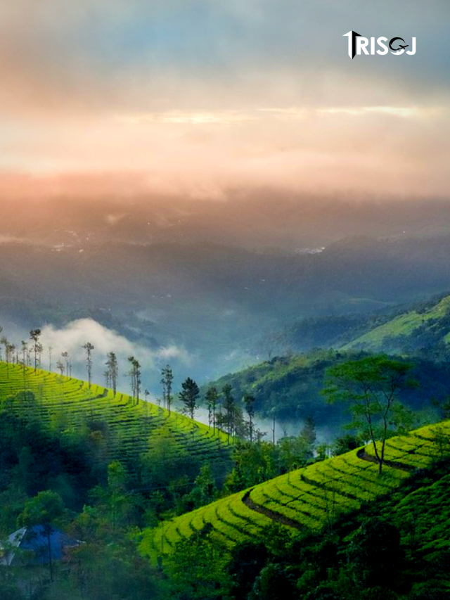 Tourist Places in Kerala