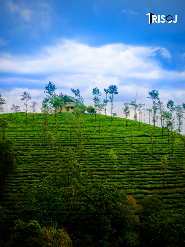 Tourist Places in Vagamon