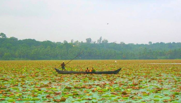 Vellayani Lake