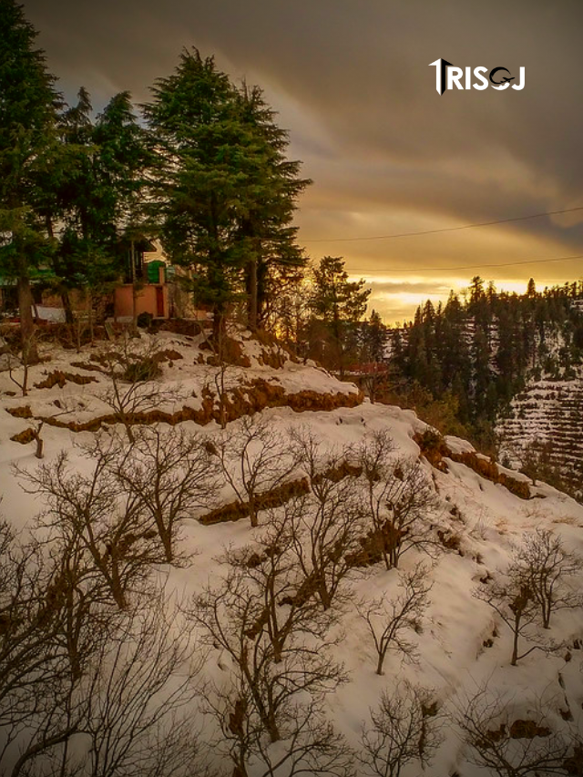 Places To Visit in Kanatal