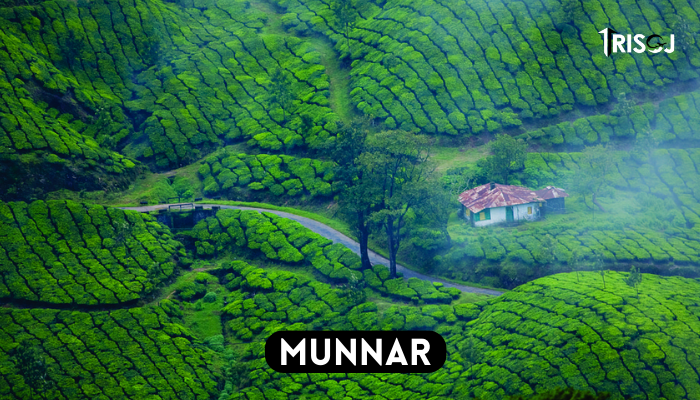 Places To Visit in Munnar