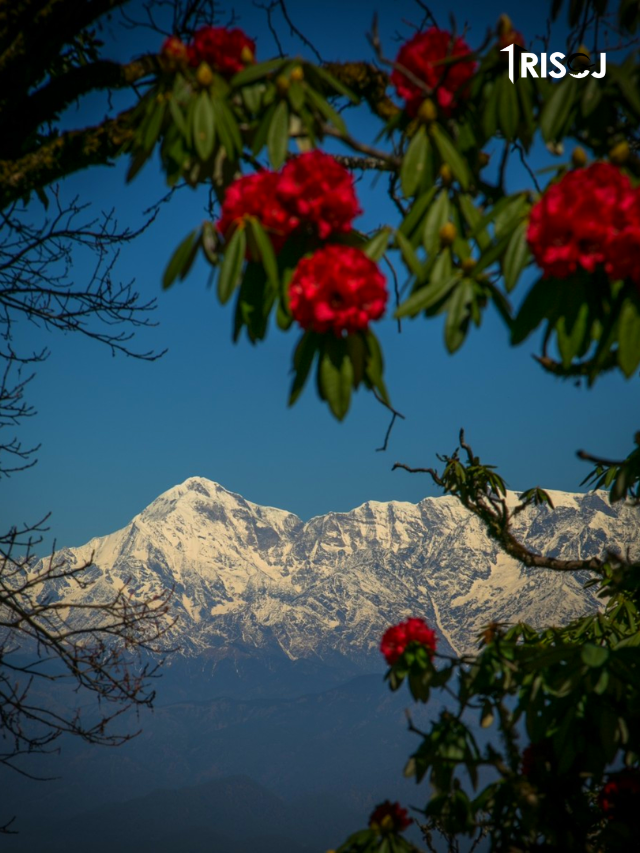 Places to visit in Binsar