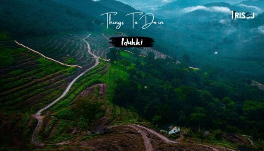 Things To Do in Idukki