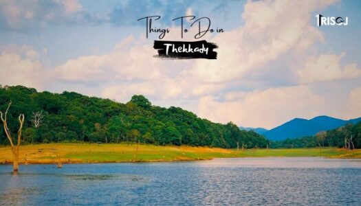 Things To Do in Thekkady