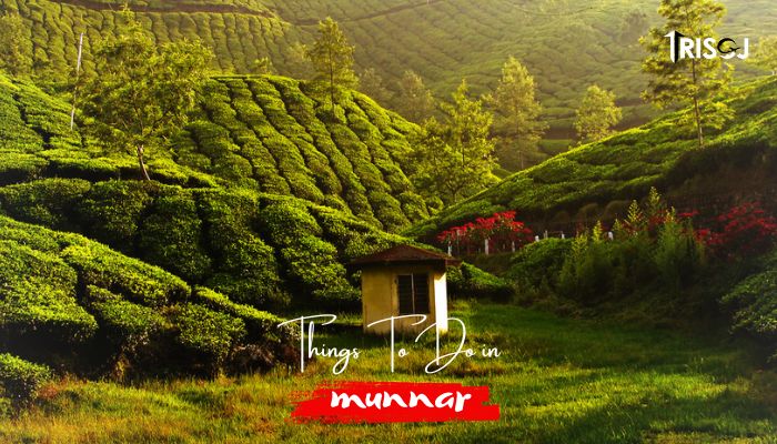 Things To Do in munnar