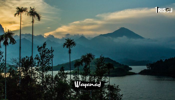 Things to do in Wayanad