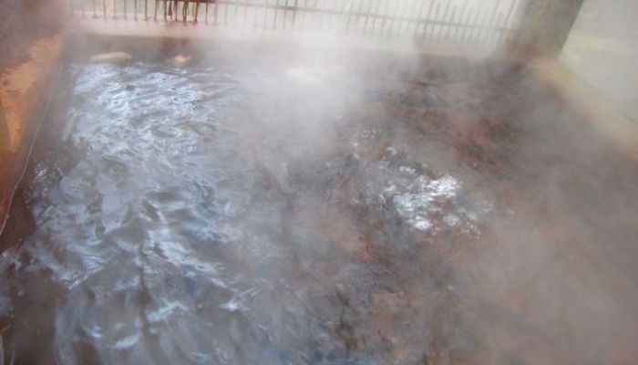 A holy dip in Manikaran Hot Spring