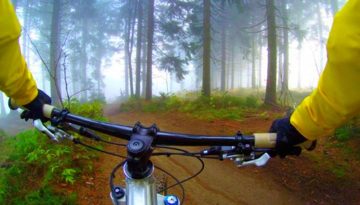 Cycle ride in the forest