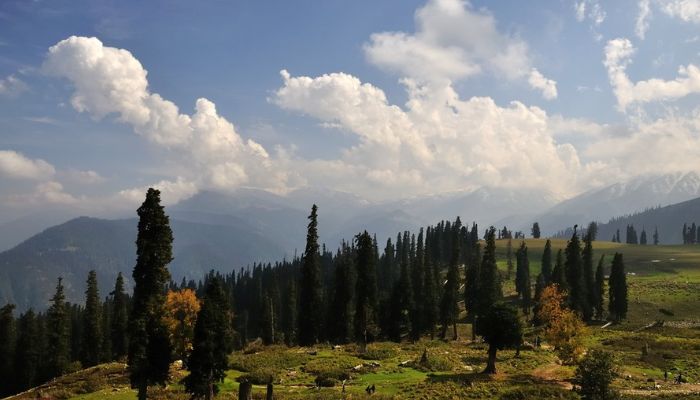 11 Tourist Places To Visit in Gulmarg for Luxurious Trip - TRISOJ