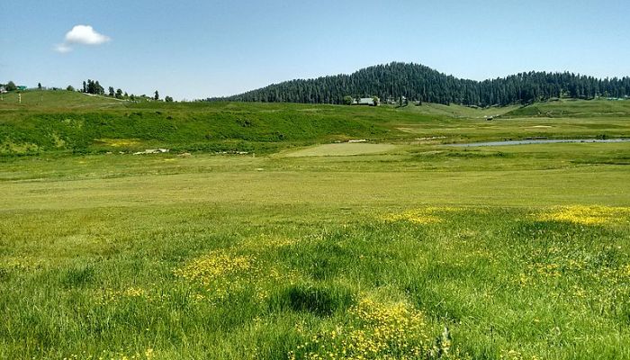 Gulmarg Golf Course