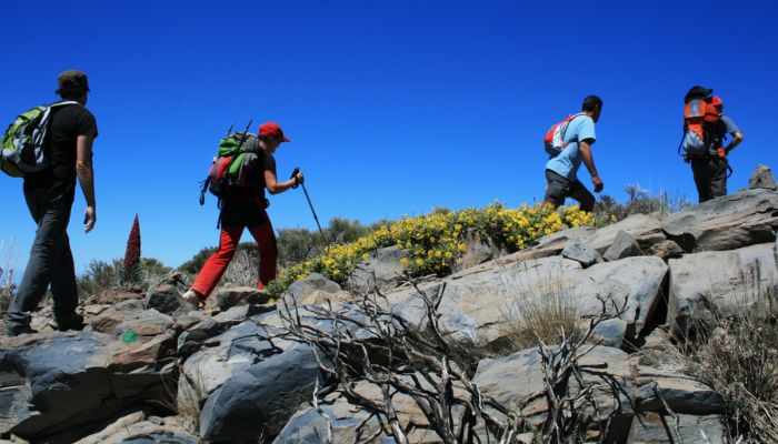 Hiking