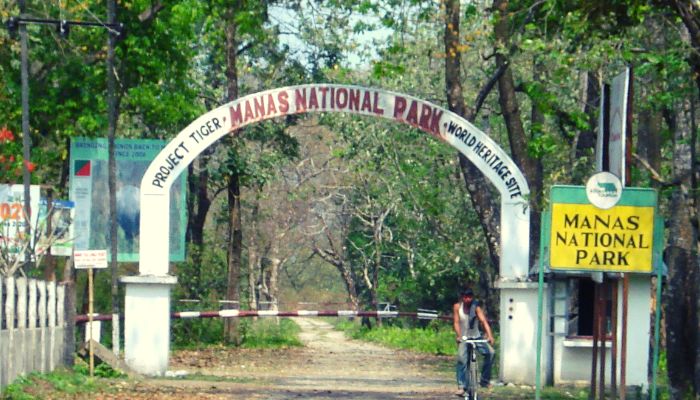 Kaziranga National Park