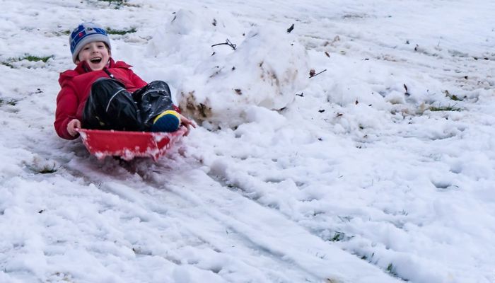 Let's go for Tobogganing