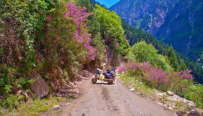 Pangi Valley