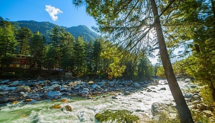 Relax at Parvati River