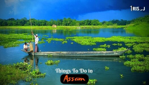 Things To Do in Assam