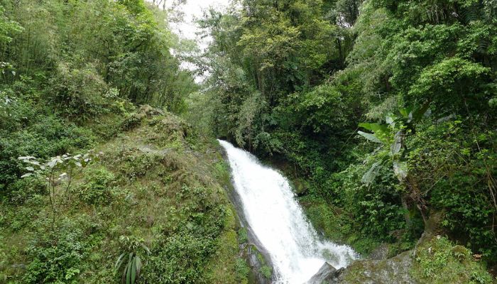 Visiting Bhagsunag Temple and Waterfall